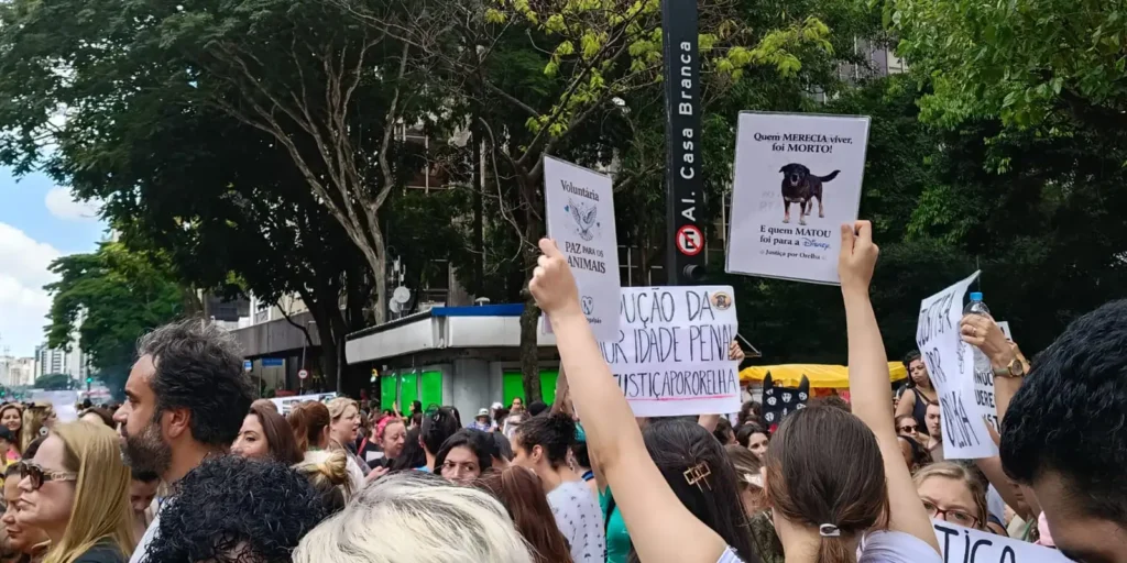 Protesto em São Paulo clama por justiça pela morte do cão Orelha