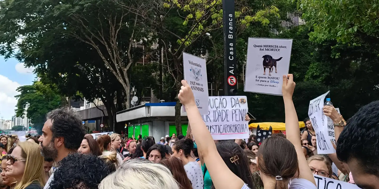 Protesto em São Paulo clama por justiça pela morte do cão Orelha