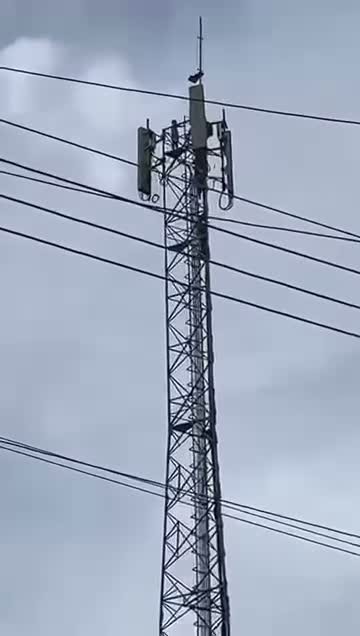 Crianças são vistas no topo de torre de telefonia de até 50 metros em Maués; caso gera alerta sobre segurança Crianças são vistas no topo de torre de telefonia de até 50 metros em Maués; caso gera alerta sobre segurança