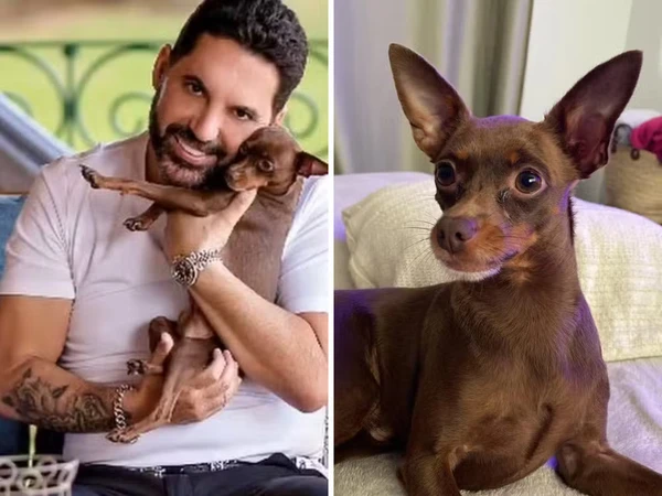 Cachorro de estimação de cantor sertanejo é achado morto após uma semana de buscas