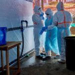 OMS diz que dispõe de menos da metade dos recursos necessários para combater Ebola