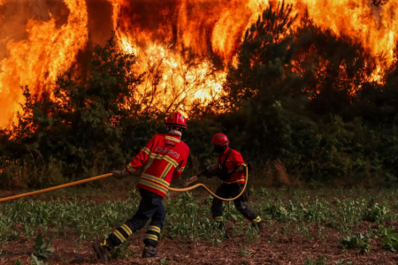 Fumaça tóxica: Incêndios florestais assolam Portugal, Grécia e Espanha