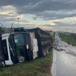 Carreta bitrem carregada de gado tomba na BR-364 e provoca congestionamento em Rio Branco