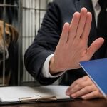 Vereadores aprovam projeto que barra condenados por maus-tratos a animais em cargos públicos de Rio Branco