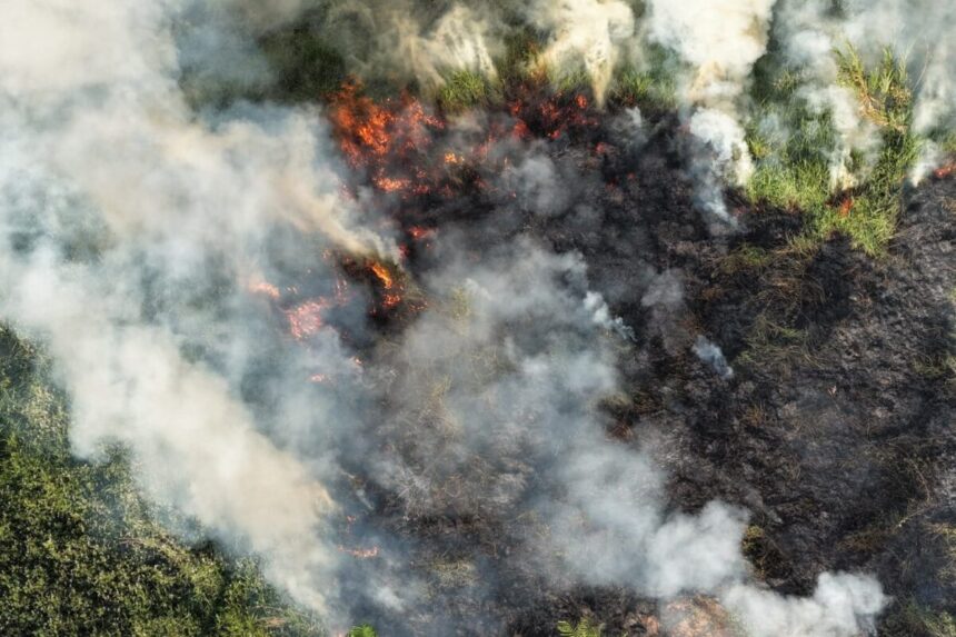 Rio Branco busca entidade para reforçar combate a queimadas Rio Branco abre seleção de entidade para contratar brigadistas e reforçar combate às queimadas