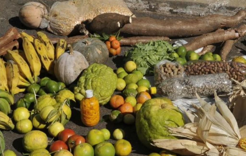 Acre está entre os estados com pior insegurança alimentar do país, mostra estudo Acre está entre os estados com pior insegurança alimentar do país, mostra estudo