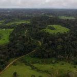 MPF abre fiscalização para projeto REDD+ na Resex Chico Mendes MPF abre fiscalização para projeto REDD+ na Resex Chico Mendes