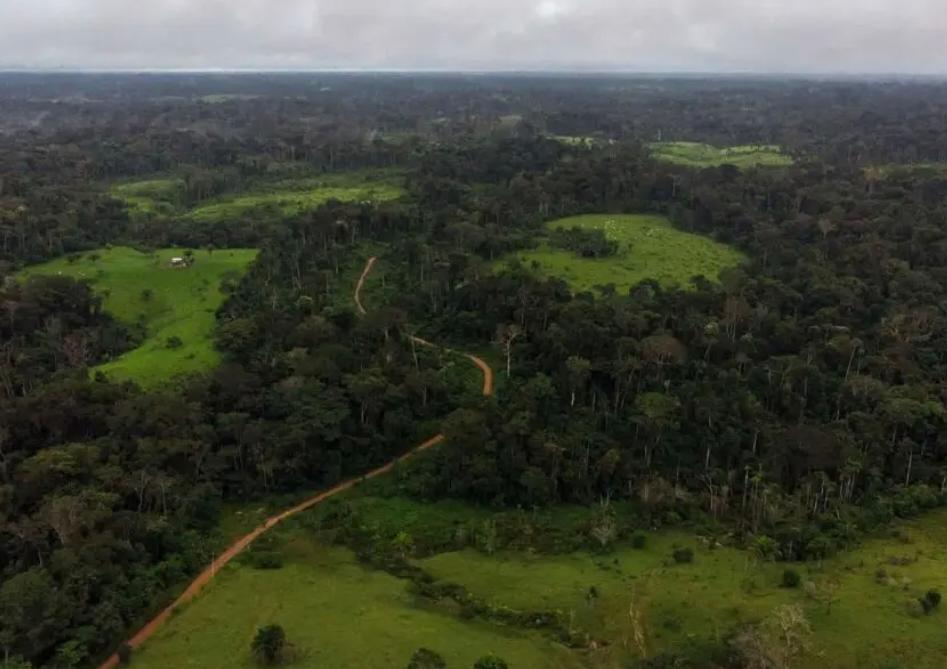 MPF abre fiscalização para projeto REDD+ na Resex Chico Mendes MPF abre fiscalização para projeto REDD+ na Resex Chico Mendes