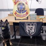 Duas mulheres são presas com cinco tabletes de skunk durante operação integrada na fronteira do Brasil com a Bolívia