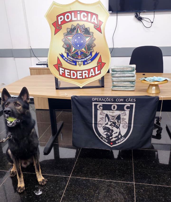 Duas mulheres são presas com cinco tabletes de skunk durante operação integrada na fronteira do Brasil com a Bolívia Duas mulheres são presas com cinco tabletes de skunk durante operação integrada na fronteira do Brasil com a Bolívia
