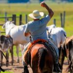 Agronegócio do Acre cria 131 vagas formais em maio e se destaca na Região Norte
