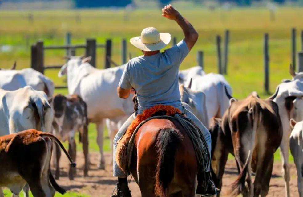 Agronegócio do Acre cria 131 vagas formais em maio e se destaca na Região Norte