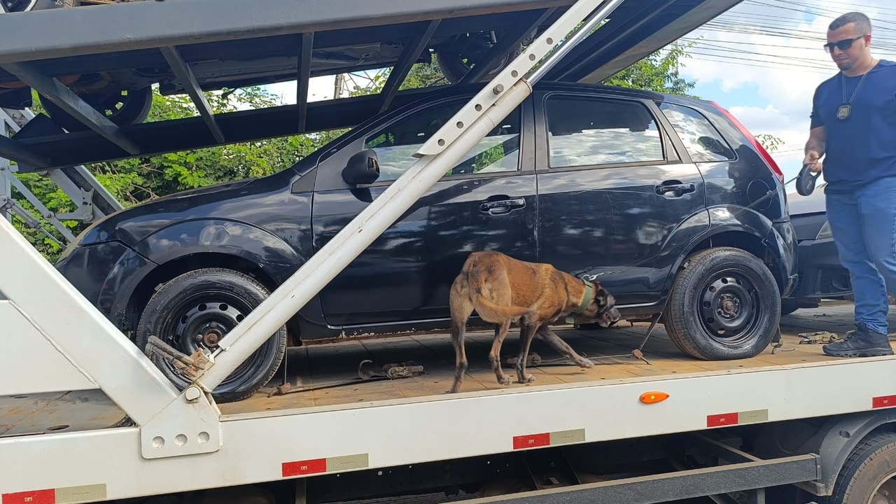 PMAC apreende armas, peças e munições durante patrulhamento no Belo Jardim II PMAC apreende armas, peças e munições durante patrulhamento no Belo Jardim II