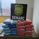 PCAC apreende mais de 21 quilos de skunk escondidos em portas de veículo transportado por cegonha na BR-364