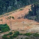 Após repressão em outras áreas, garimpo ilegal desloca‑se e torna o Amapá nova rota principal na Amazônia Após repressão em outras áreas, garimpo ilegal desloca‑se e torna o Amapá nova rota principal na Amazônia