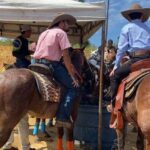 Idaf prepara rigoroso acompanhamento sanitário e de bem‑estar na Expoacre Idaf prepara rigoroso acompanhamento sanitário e de bem‑estar na Expoacre