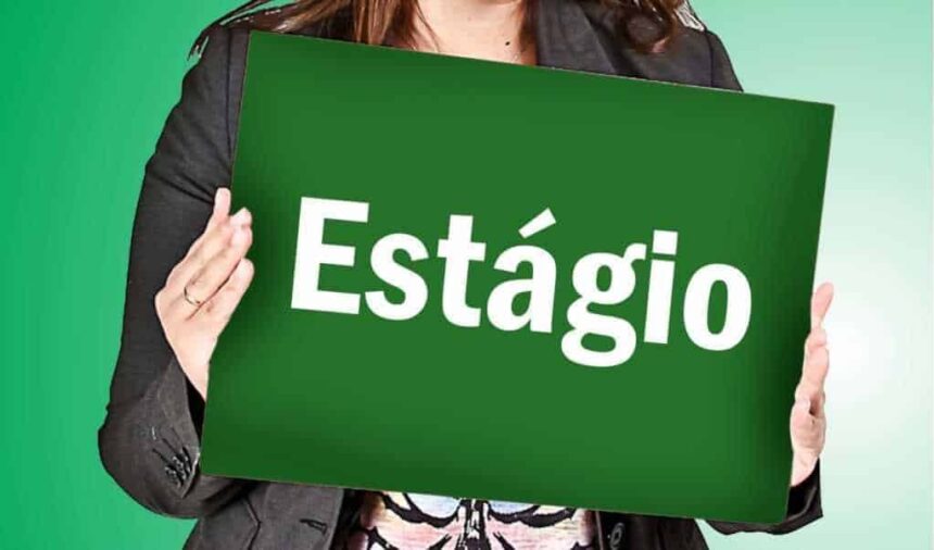 estagio-1-1024x602-1 (3)