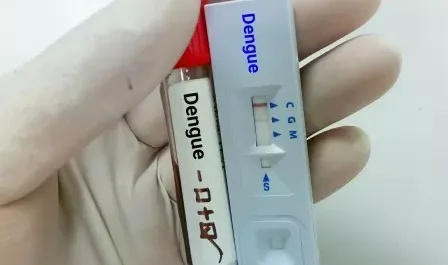 Acre investiga mortes suspeitas de dengue e registra casos graves Acre investiga duas mortes por suspeita de dengue e registra 15 casos graves da doença em 2026