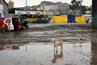 Terremoto de magnitude 6,7 atinge o Peru; autoridades descartam tsunami Terremoto de magnitude 6,7 atinge o Peru; autoridades descartam tsunami