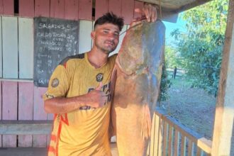 Pescador captura jaú de 72 kg e 1,54 m no Rio Andirá, em Porto Acre Pescador captura jaú de 72 kg e 1,54 m no Rio Andirá, em Porto Acre