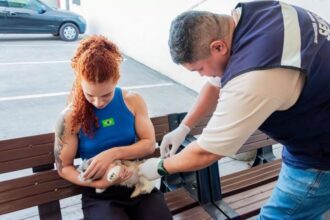 Rio Branco mantém vacinação antirrábica em vários pontos da capital até novembro Rio Branco mantém vacinação antirrábica em vários pontos da capital até novembro