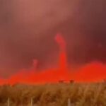 Fogo avança em áreas rurais de Rondônia, Tocantins e Mato Grosso e destrói plantações e vegetação Fogo avança em áreas rurais de Rondônia, Tocantins e Mato Grosso e destrói plantações e vegetação