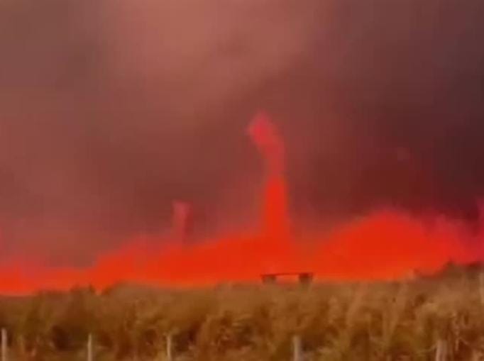 Fogo avança em áreas rurais de Rondônia, Tocantins e Mato Grosso e destrói plantações e vegetação