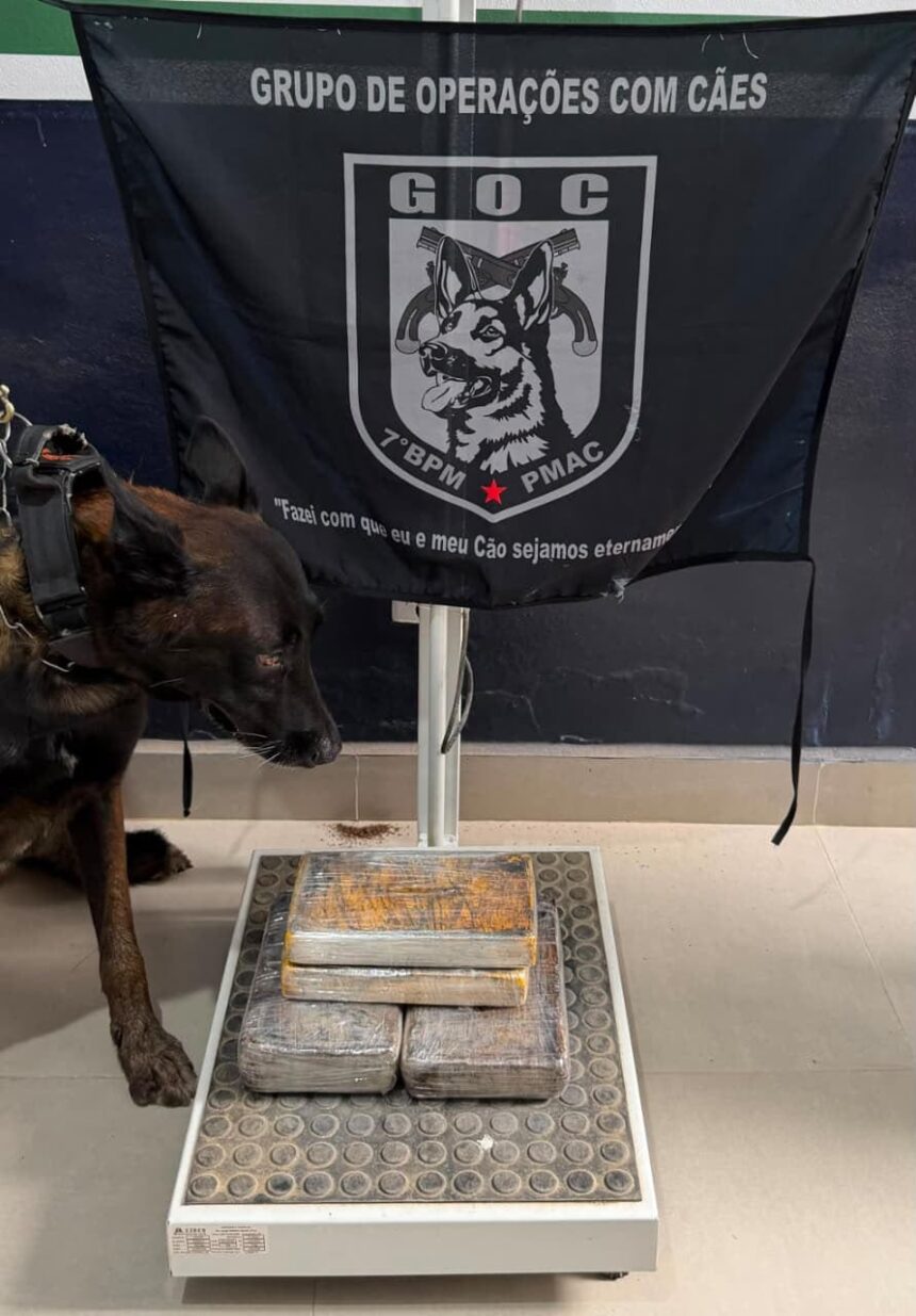 Cão farejador da PM intercepta encomenda com mais de 4 kg de drogas e apreende menor em transportadora