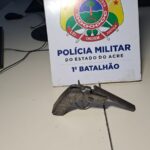 Polícia Militar apreende dois adolescentes com arma artesanal durante patrulhamento em Rio Branco
