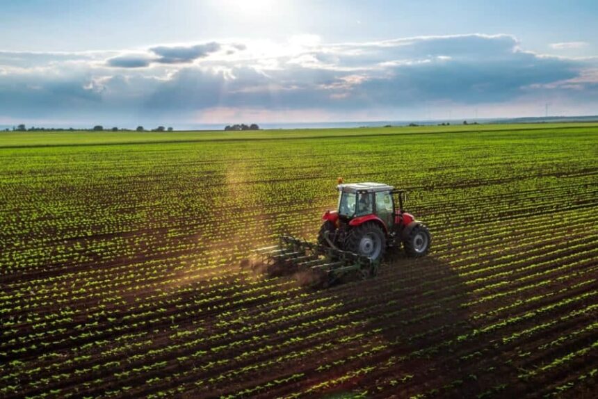 Agro do Acre cria 613 vagas com carteira assinada no primeiro semestre de 2026