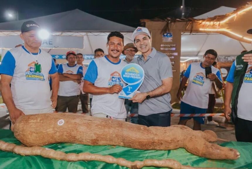 Mandiocas de quase 4 metros e mais de 30 kg brilham em concursos do Festival da Farinha 2026 em Cruzeiro do Sul Mandiocas de quase 4 metros e mais de 30 kg brilham em concursos do Festival da Farinha 2026 em Cruzeiro do Sul
