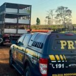 Após denúncias de motoristas, PRF prende caminhoneiro por embriaguez ao volante na BR-317 em Xapuri