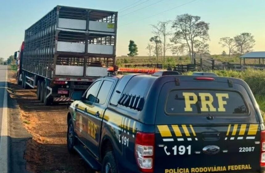 Após denúncias de motoristas, PRF prende caminhoneiro por embriaguez ao volante na BR-317 em Xapuri