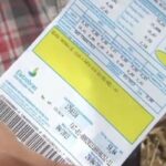 Bandeira tarifária segue amarela em setembro; conta de luz terá acréscimo de R$ 1,88 a cada 100 kWh