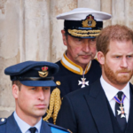 Príncipes William e Harry são pressionados a se reconciliar após conflitos Príncipes William e Harry são pressionados a se reconciliar após conflitos