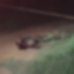 Detento monitorado por tornozeleira é amarrado e morto a golpes de faca no Segundo Distrito de Rio Branco Detento monitorado por tornozeleira é amarrado e morto a golpes de faca no Segundo Distrito de Rio Branco