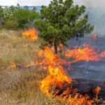 Acre envia ao MMA lista de 6 municípios de prioridade máxima para combate a incêndios florestais Acre envia ao MMA lista de 6 municípios de prioridade máxima para combate a incêndios florestais