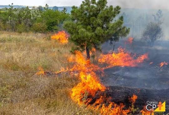 Acre envia ao MMA lista de 6 municípios de prioridade máxima para combate a incêndios florestais Acre envia ao MMA lista de 6 municípios de prioridade máxima para combate a incêndios florestais