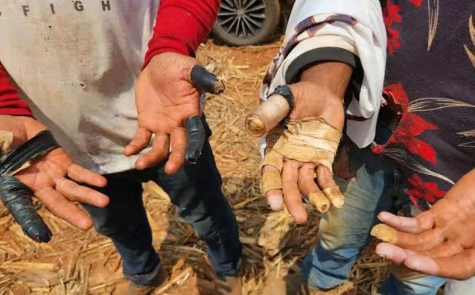 Trabalhador é resgatado de condições degradantes em fazenda de Rio Branco; empregadora é multada Trabalhador é resgatado de condições degradantes em fazenda de Rio Branco; empregadora é multada