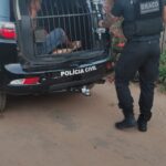 Polícia Civil do Acre prende três suspeitos de integrar organização criminosa durante operação da Draco