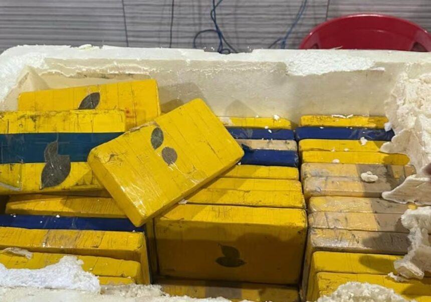 Quase 4 toneladas de drogas são apreendidas em 