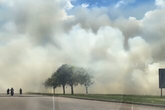 Incêndio atinge área de vegetação na Avenida Amadeu Barbosa, em Rio Branco Incêndio atinge área de vegetação na Avenida Amadeu Barbosa, em Rio Branco