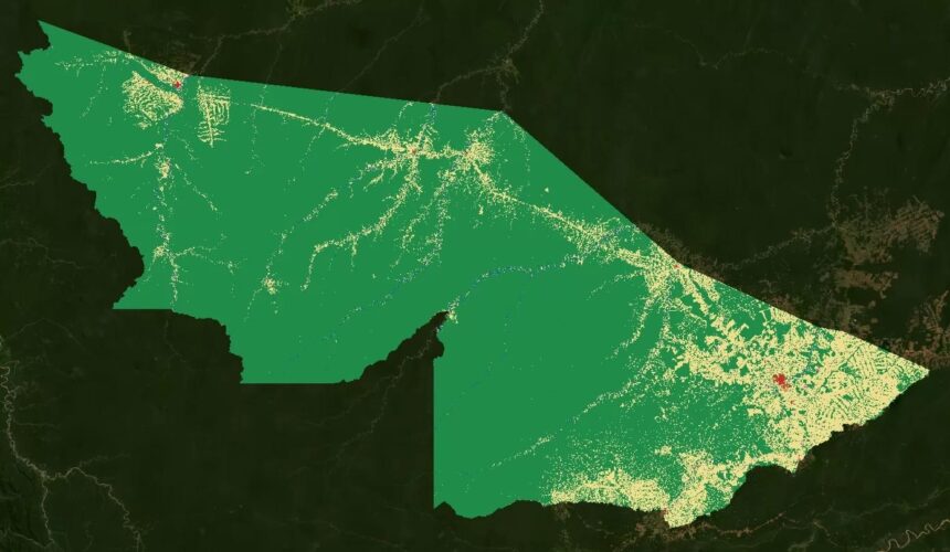 Acre registra queda de 22,2% no desmatamento e atinge menor índice em décadas