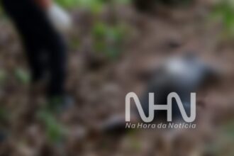 Jovem que teve mão decepada por suposta punição de facção é encontrado morto em mata de Rio Branco Jovem que teve mão decepada por suposta punição de facção é encontrado morto em mata de Rio Branco