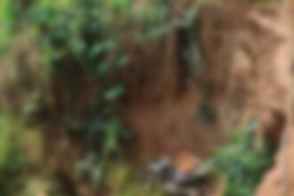Jovem morre após cair em trecho de estrada destruído pela chuva na zona rural de Xapuri Jovem morre após cair em trecho de estrada destruído pela chuva na zona rural de Xapuri
