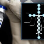 Rondônia registra primeiro tratamento com polilaminina pelo SUS e prepara ampliação por meio de parceria com a UFRJ Rondônia registra primeiro tratamento com polilaminina pelo SUS e prepara ampliação por meio de parceria com a UFRJ