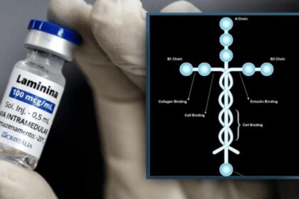 Rondônia registra primeiro tratamento com polilaminina pelo SUS e prepara ampliação por meio de parceria com a UFRJ Rondônia registra primeiro tratamento com polilaminina pelo SUS e prepara ampliação por meio de parceria com a UFRJ