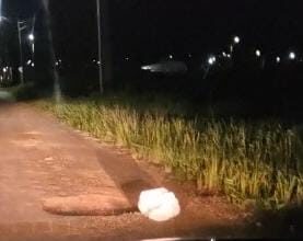 Gato é encontrado abandonado dentro de saco amarrado em Rio Branco e é resgatado por moradora