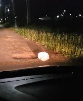 Gato é encontrado abandonado dentro de saco amarrado em Rio Branco e é resgatado por moradora