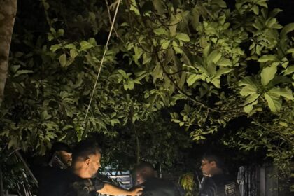 Polícia Civil prende foragido condenado a 10 anos por tráfico de drogas em Xapuri Polícia Civil prende foragido condenado a 10 anos por tráfico de drogas em Xapuri